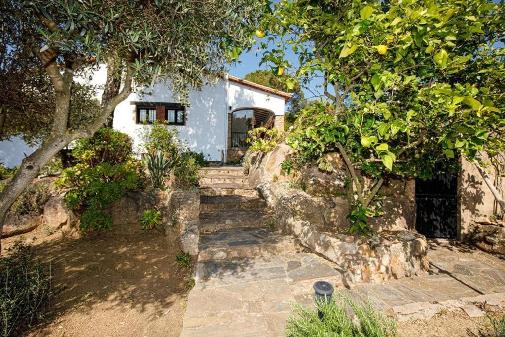 Villa Boheme Costa Brava Calonge  Exteriér fotografie