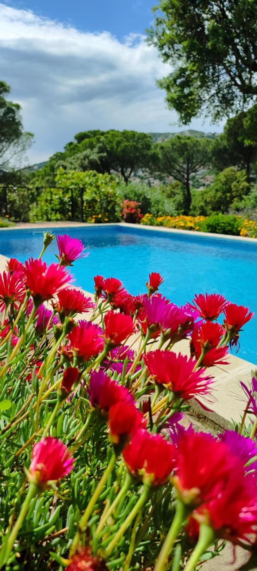 Villa Boheme Costa Brava Calonge  Exteriér fotografie